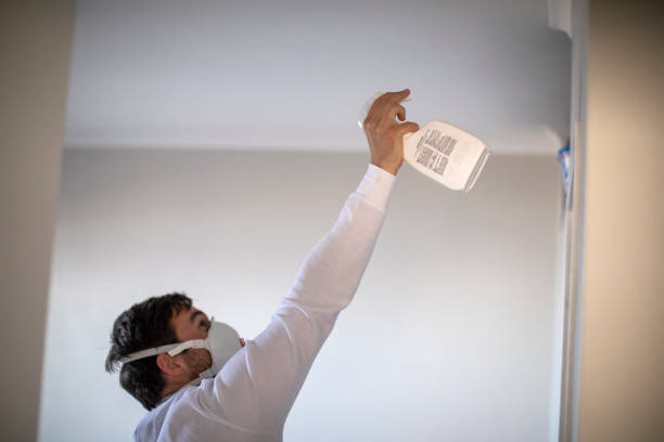 Best Emergency Mold Remediation in Cascade Valley, WA