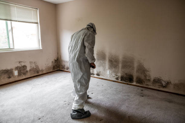 Best Industrial Mold Remediation in Cascade Valley, WA